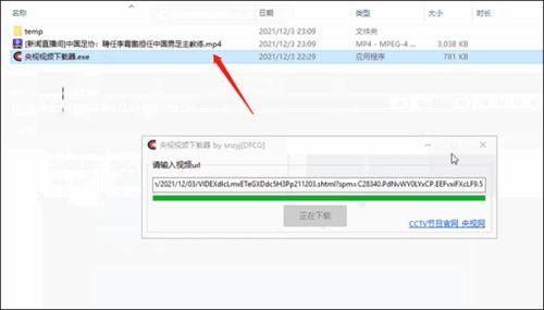 央视频国产软件