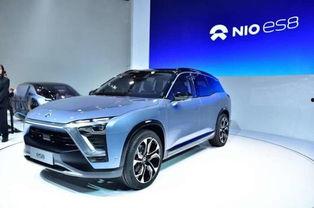 国产车被扣标视频