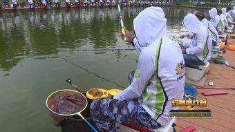 国产明星钓鱼视频,国产明星演绎自然休闲时光