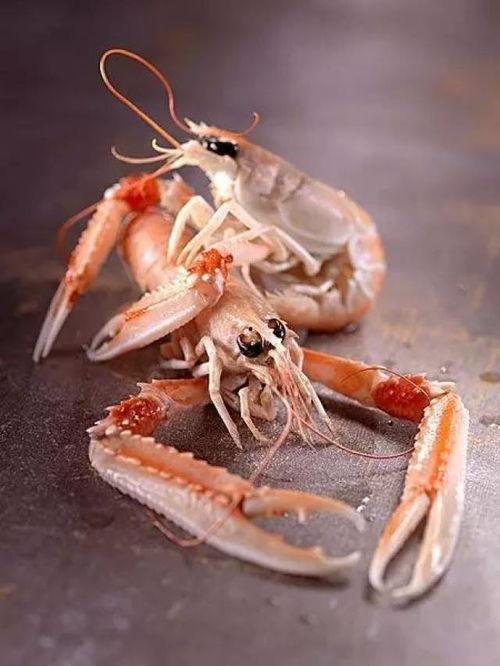 国产鳌虾捕捞视频教程