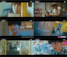 国产主人调调教视频,揭秘现代情感调教的艺术与技巧